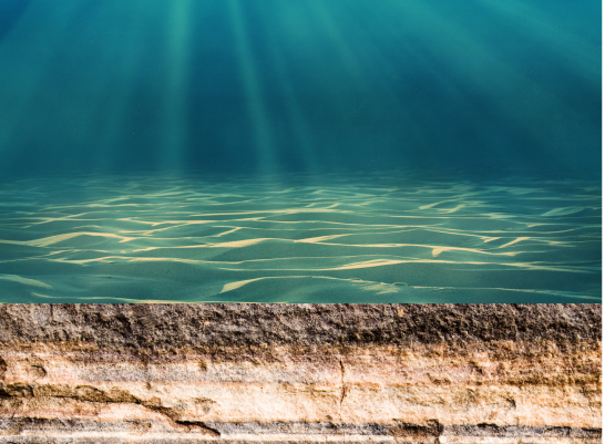 A seabed with sediment and rocky strata underneath